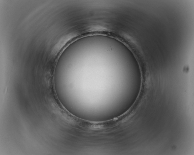 X0000111921313200907271238