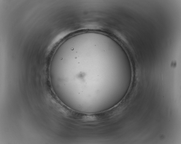 X0000111921315200907271239