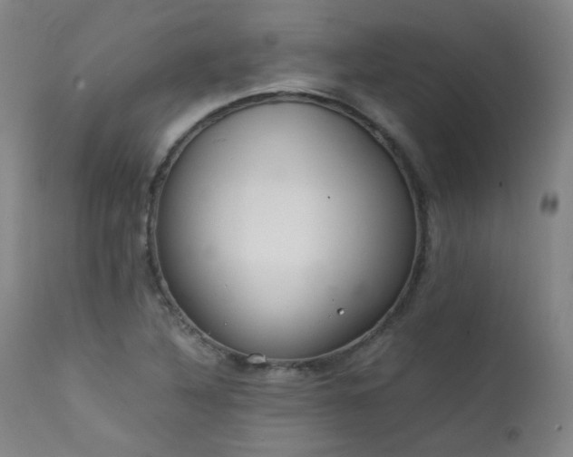 X0000111921316200907271239
