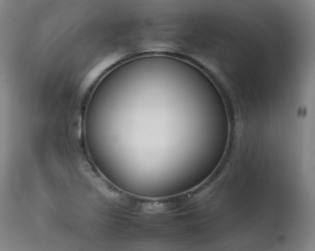 X0000111921317200907271239