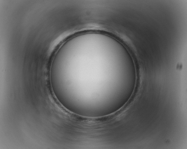 X0000111921318200907271239