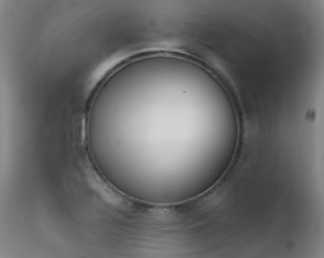 X0000111921320200907271239