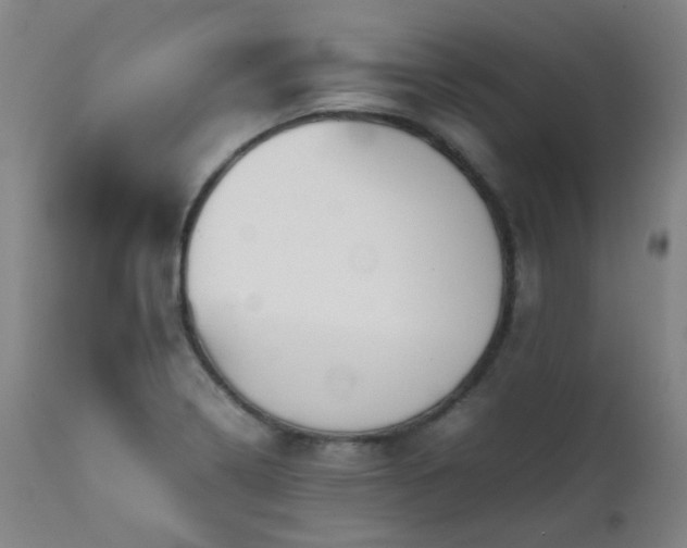 X0000111921322200907271239
