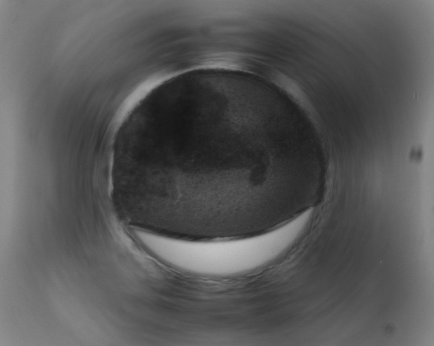 X0000111921323200907271239