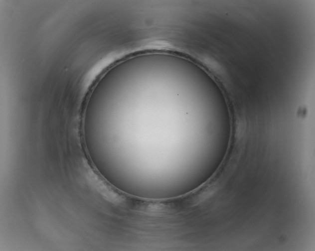 X0000111921326200907271239