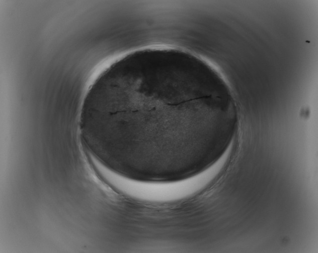 X0000111921327200907271239