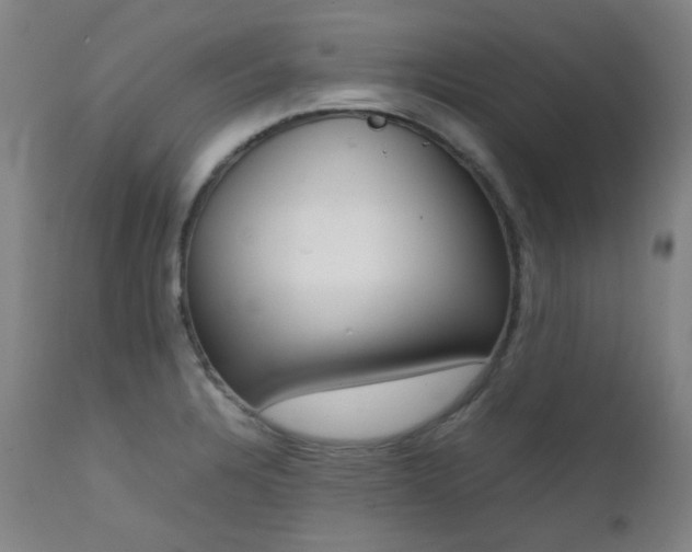 X0000111921328200907271239