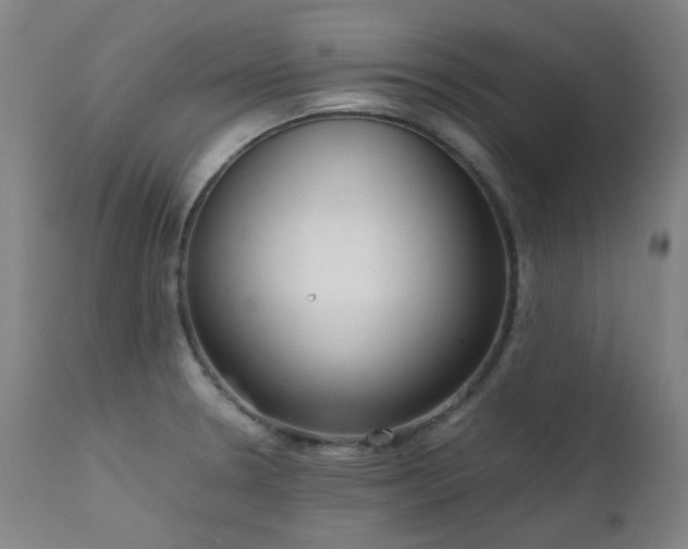 X0000111921330200907271239