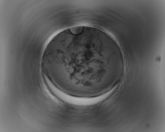 X0000111921331200907271239