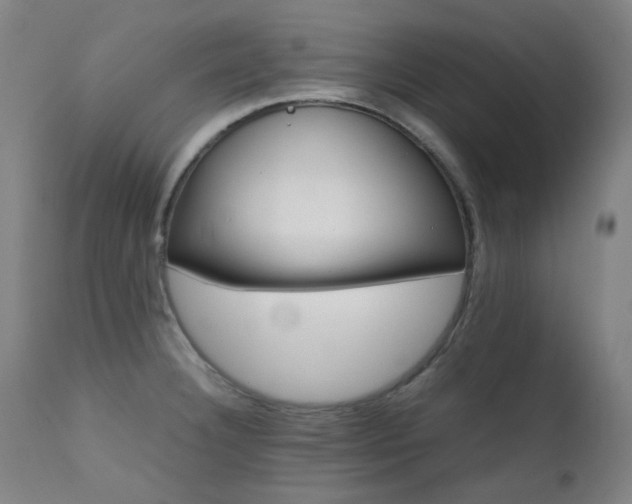X0000111921332200907271239
