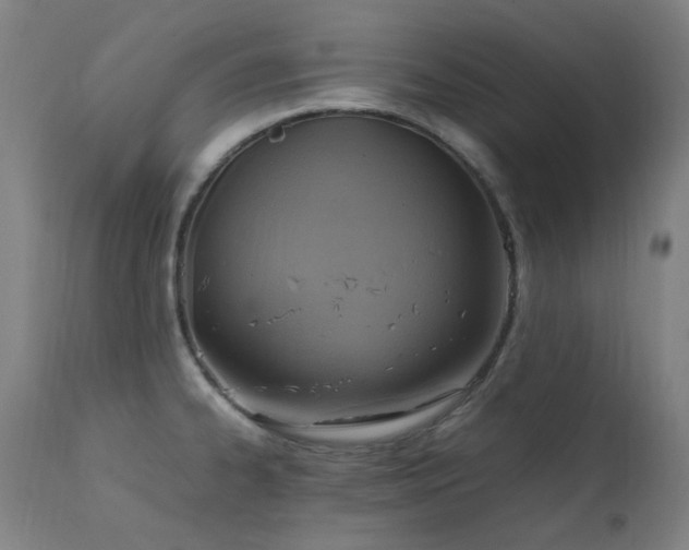 X0000111921334200907271239