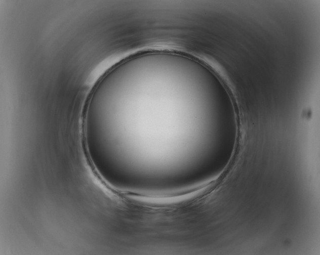 X0000111921335200907271239