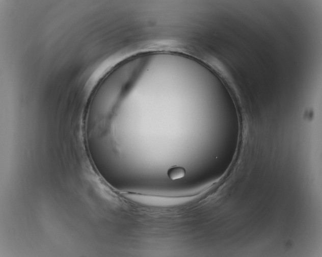 X0000111921336200907271239