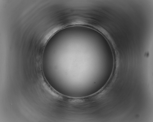 X0000111921337200907271239