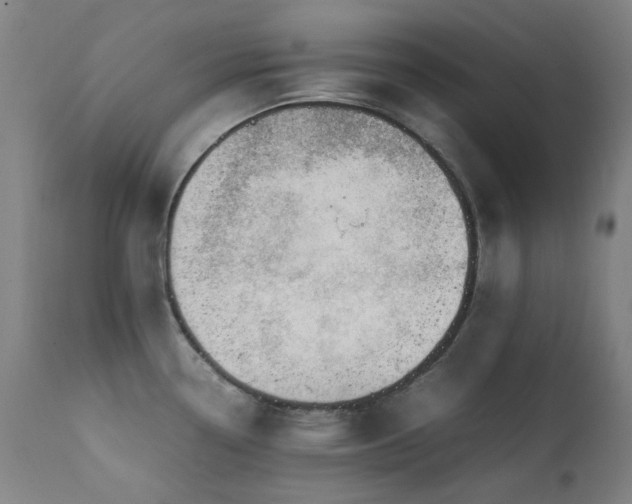 X0000111921338200907271239