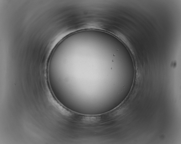 X0000111921339200907271239