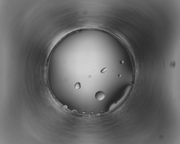 X0000111921340200907271239