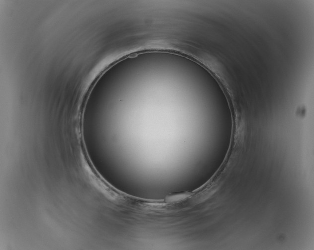X0000111921342200907271239
