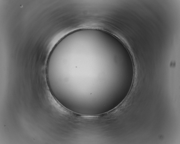 X0000111921344200907271239