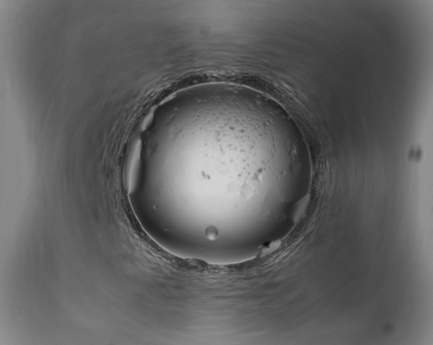 X0000111921345200907271238