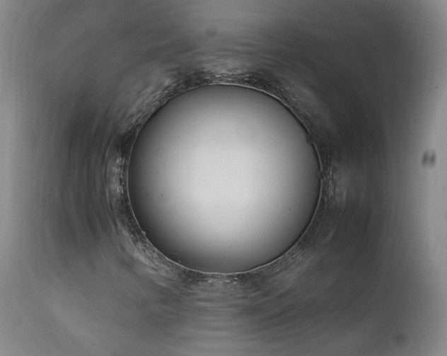 X0000111921346200907271238