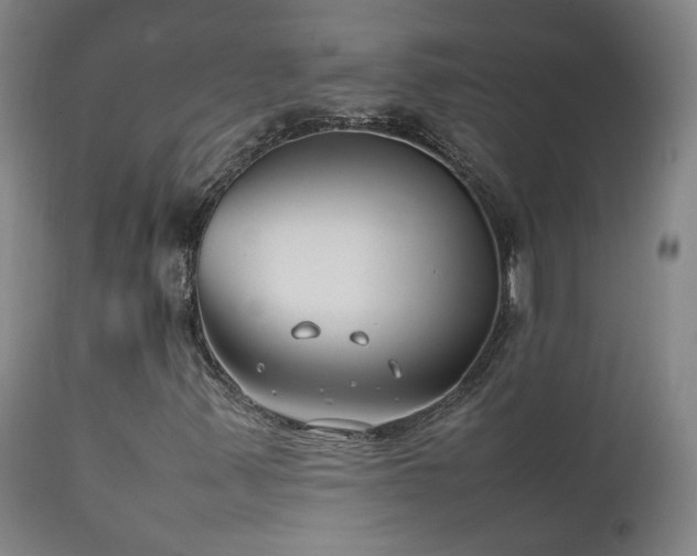 X0000111921347200907271238