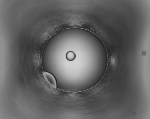 X0000111921348200907271238