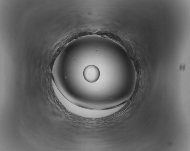 X0000111921349200907271238