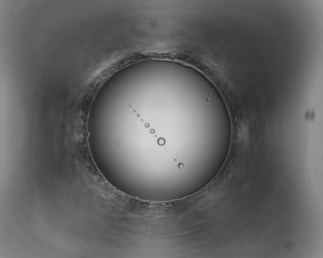 X0000111921350200907271238