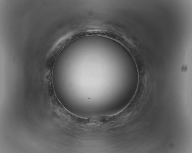 X0000111921351200907271238