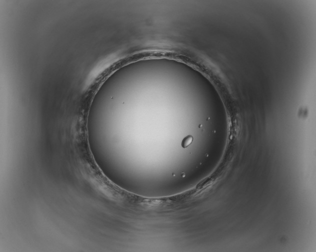 X0000111921352200907271238