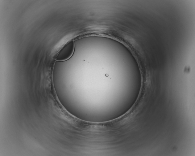 X0000111921354200907271238