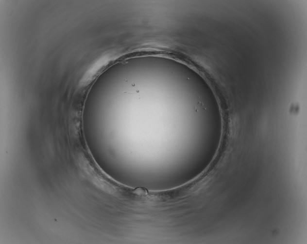 X0000111921355200907271238