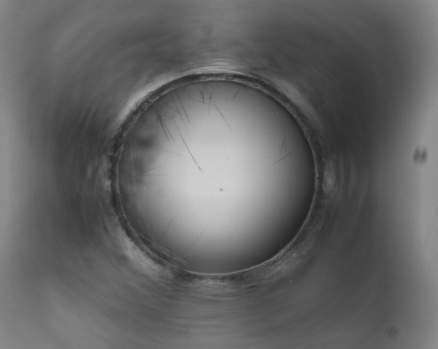 X0000111921356200907271238