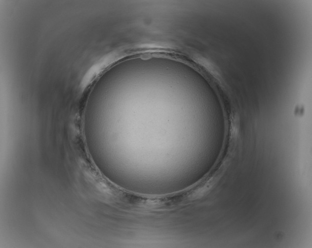 X0000111921357200907271238
