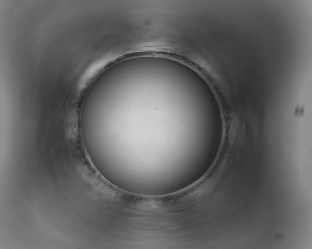 X0000111921358200907271238