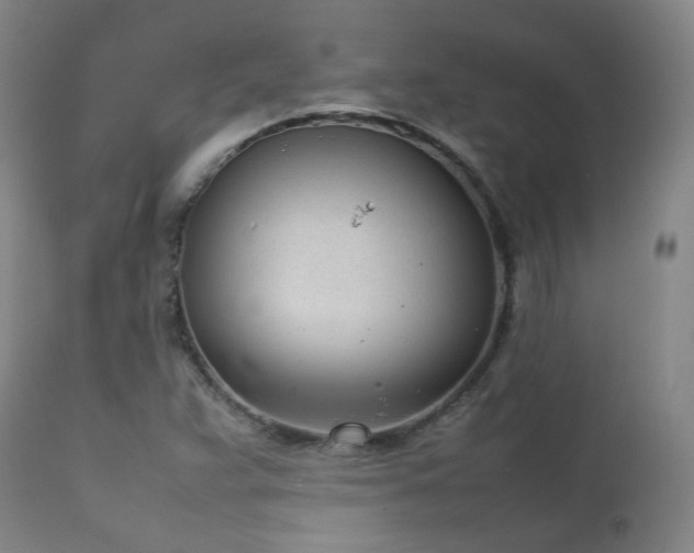 X0000111921359200907271238