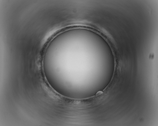 X0000111921360200907271238