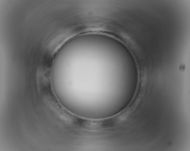 X0000111921361200907271238