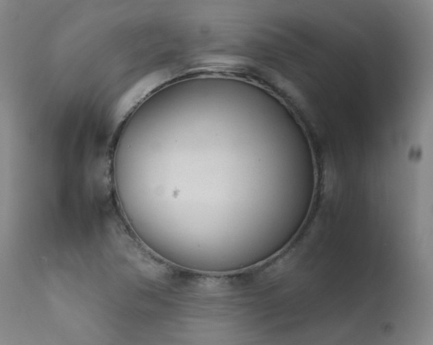 X0000111921362200907271238