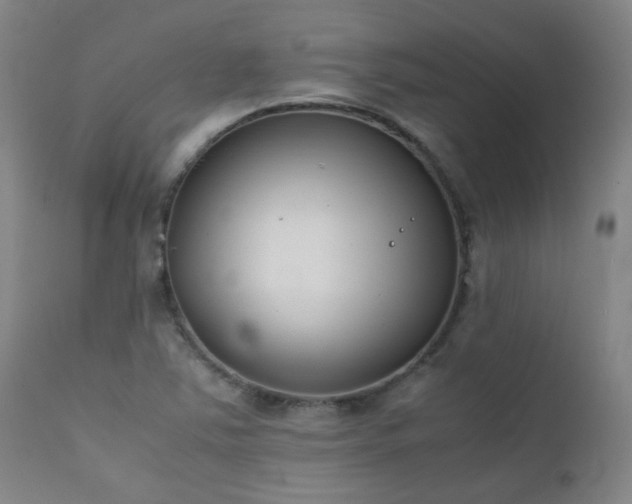 X0000111921363200907271238