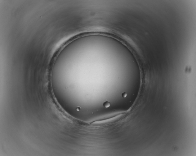 X0000111921364200907271238
