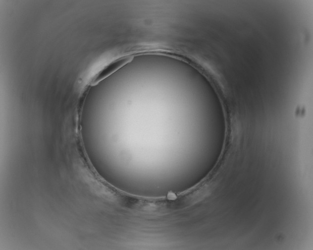 X0000111921365200907271238