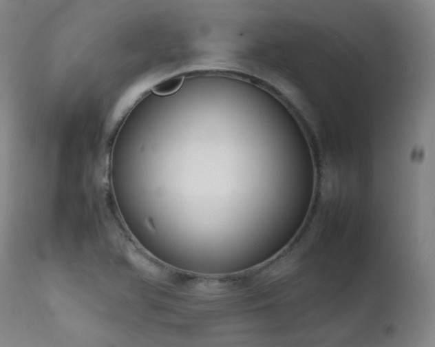 X0000111921366200907271238