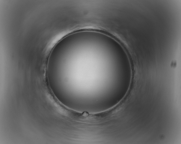 X0000111921367200907271238