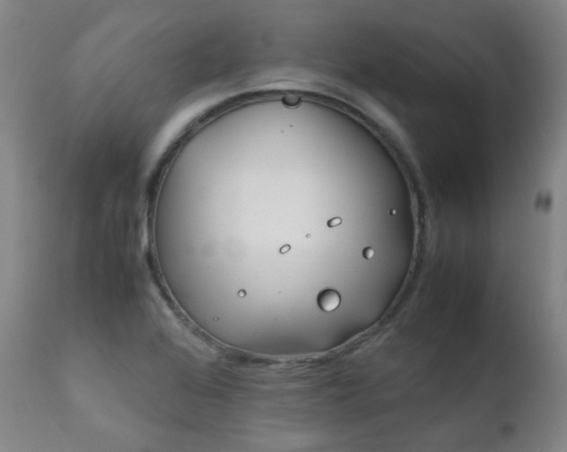 X0000111921368200907271238