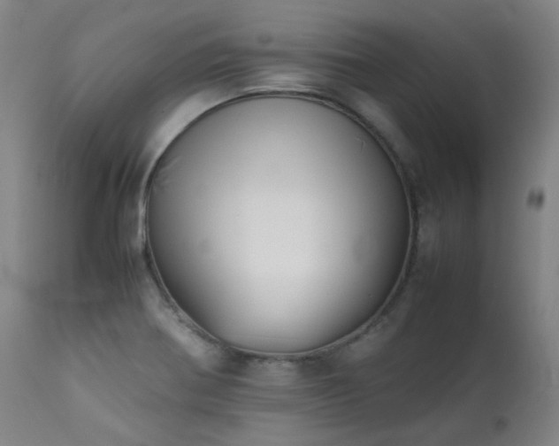 X0000111921370200907271238