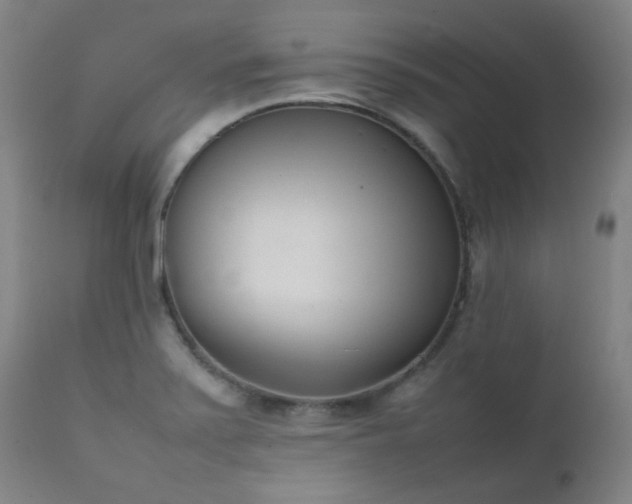 X0000111921371200907271238