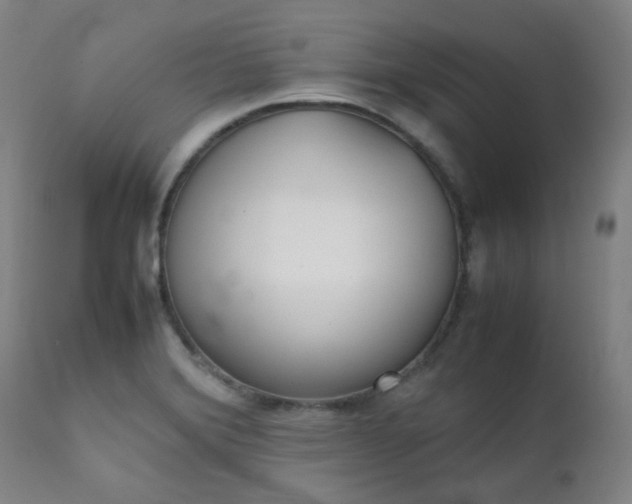 X0000111921372200907271238