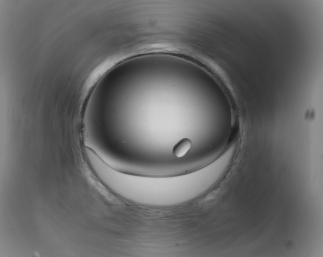 X0000111921373200907271238